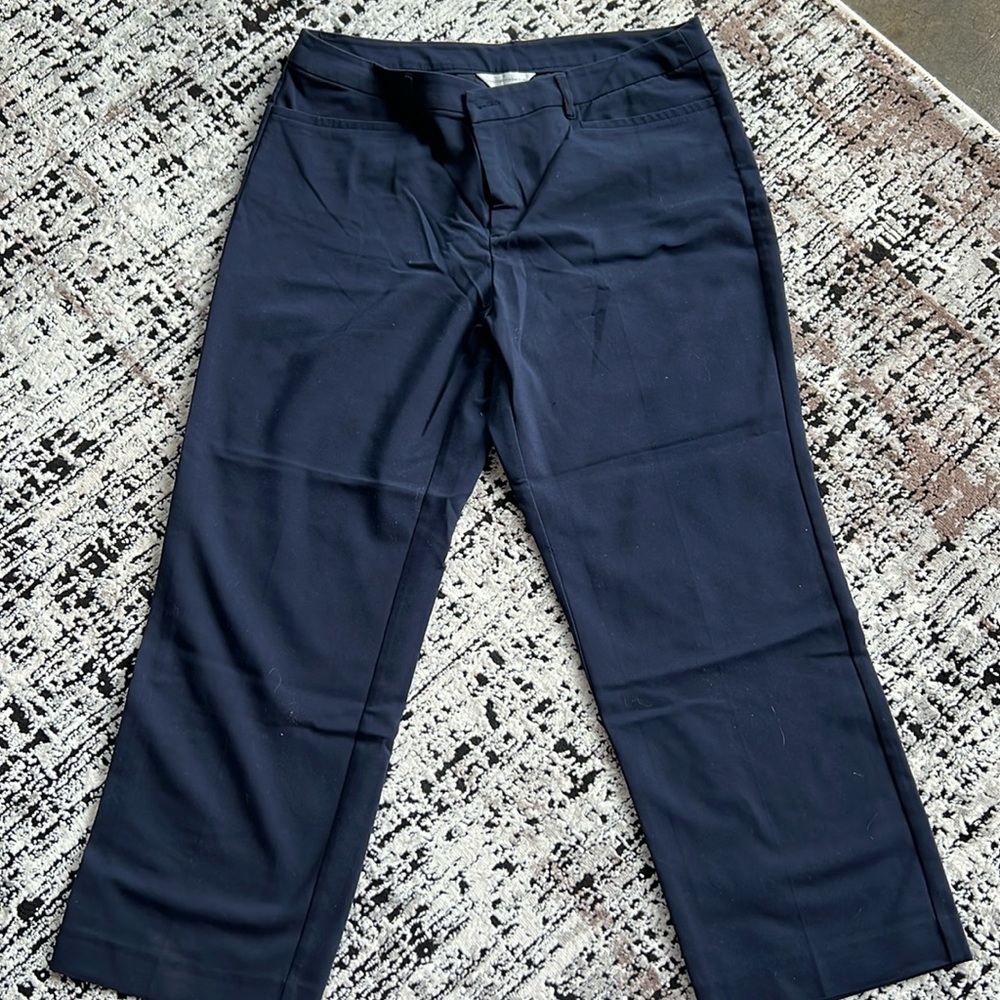 Christopher & Banks Size 14 Trousers